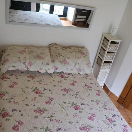 Buganvillas *